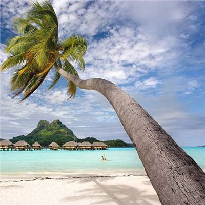 开云体云app下载手机版截图